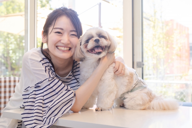 犬と女性の画像